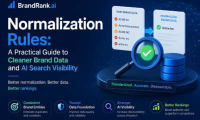 brandrank.ai normalization rules