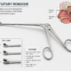 pituitary rongeur