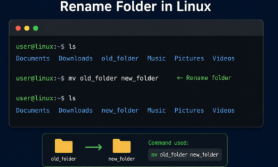 rename folder linux