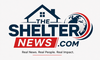 theshelternews com