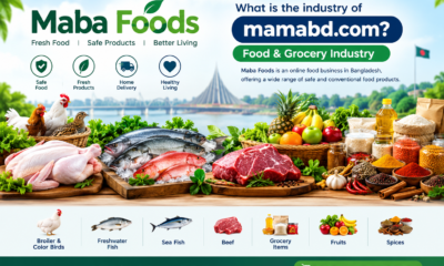 what is the industry of mamabd.com