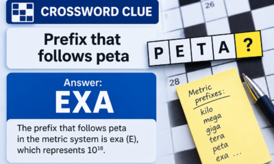 prefix that follows peta crossword clue