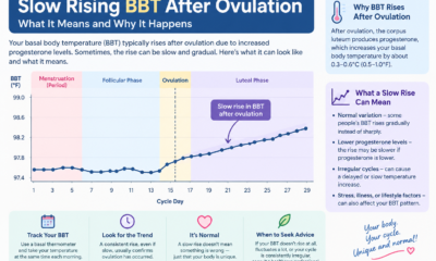 slow rising bbt after ovulation