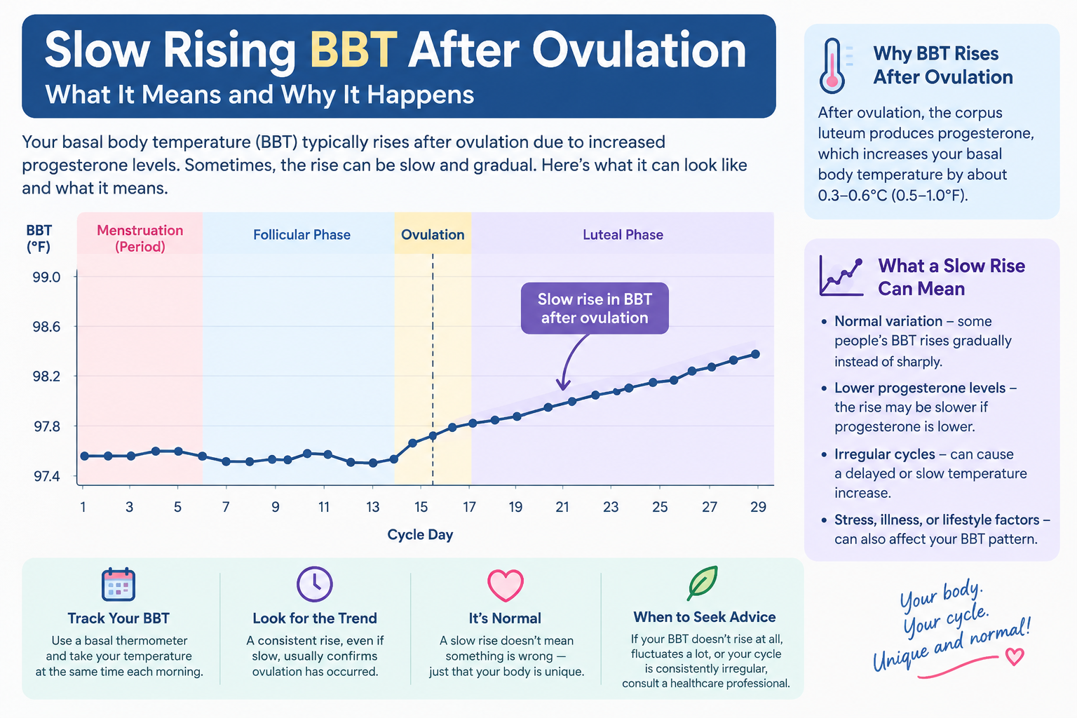 slow rising bbt after ovulation
